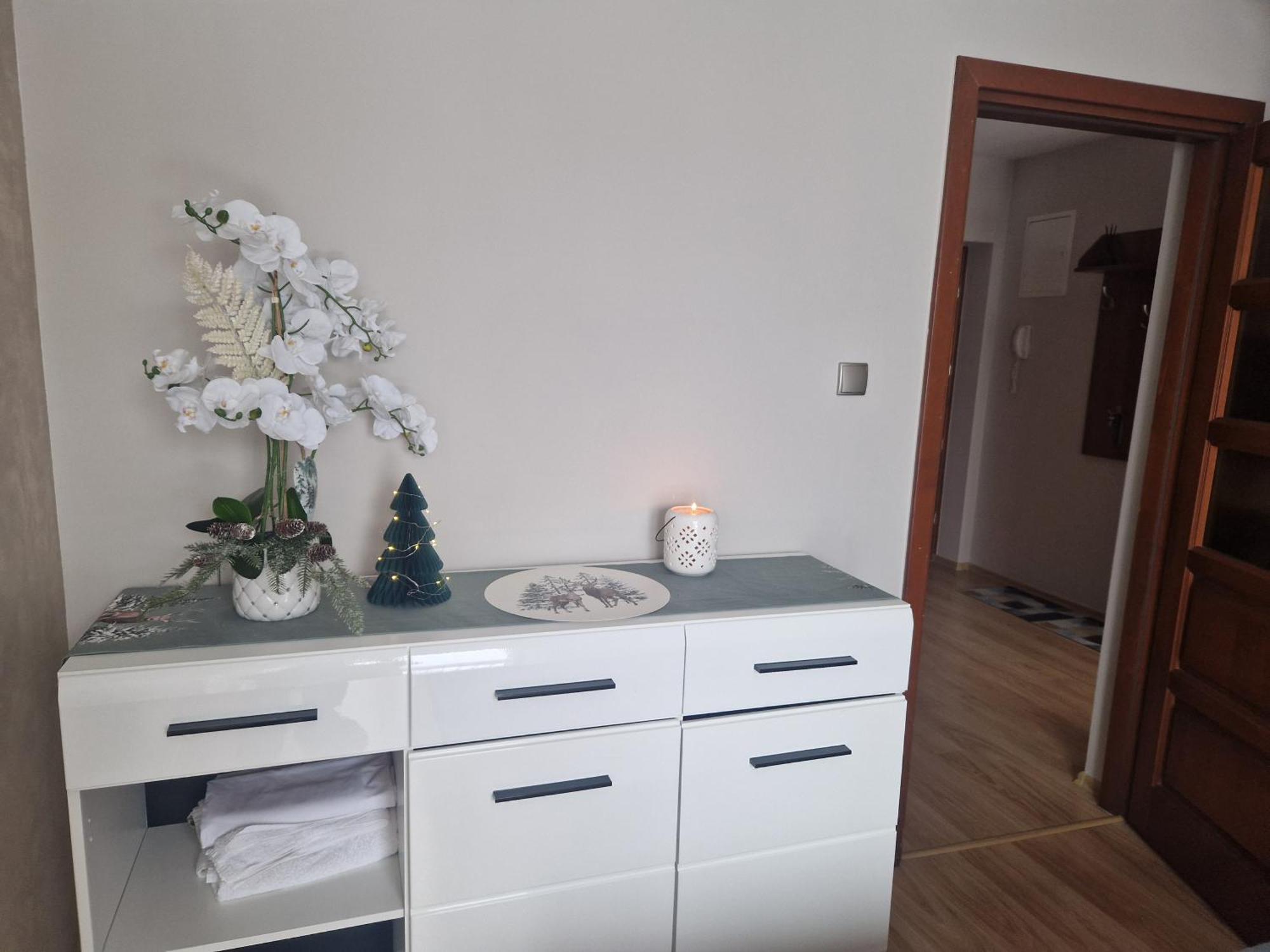Apartament Kasprowy Kościelisko Εξωτερικό φωτογραφία
