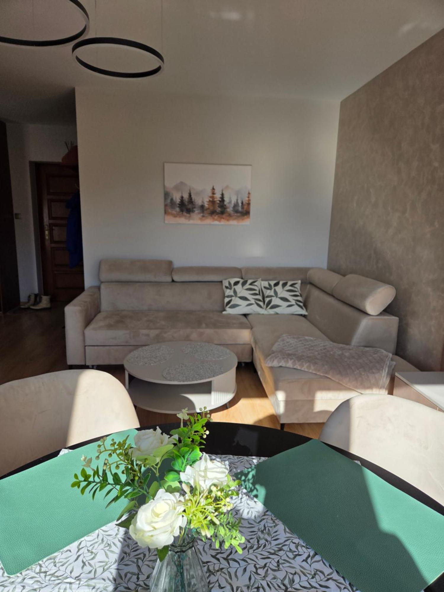 Apartament Kasprowy Kościelisko Εξωτερικό φωτογραφία